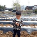 준영농장 이미지