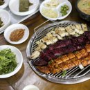 한상돈농장 티스토리