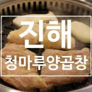 창원곱창 진해 청마루양곱창에서 구이 전골 볶음밥 풀코스로 먹고 왔어요