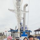 하나호 이미지