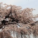 즐거운 소풍 이미지