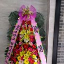 N88 카페
