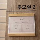 애지중지 | 한국에서의 일상) 애지중지 키웠던 강아지를 떠나보내며 (Feat. 21그램 남양주)
