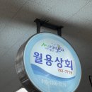 월용상회