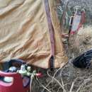 캠핑스타 이미지