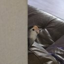 금성프라자(금성빌딩) | 26.01 | 결국 와버린 새해