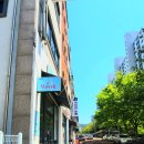 천사카롱 이미지