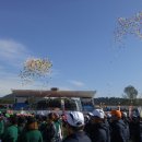 산청공설운동장 이미지