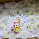 어울농장 이미지