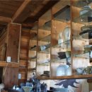 전원카페 이미지