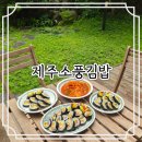 더착한김밥 | 현지인이 추천하는 착한가격의 제주도 김밥맛집, 노형동 《제주소풍김밥》