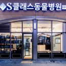 S클래스 동물병원 이미지