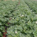 혜란농장 이미지