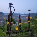 가온시스템 | 세종 가온1단지힐스테이트세종2차 아파트 시스템에어컨 설치 후기입니다.