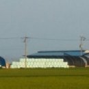 부안청보리 한우농장 이미지