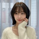 스타일찾기