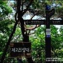 절터골1 Daum카페