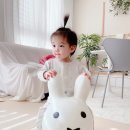 우리집 쉴드습관 알록 UVC 박스로 생활방역하기