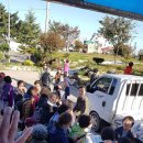 나자바바라 이미지