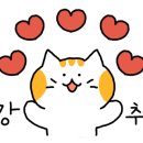 (주)마마쿡 이미지