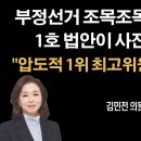 부정선거 조목조목 지적, 민족의 영웅 김민전의원 이미지