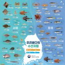 바다로 수산