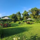 초원쌈밥 이미지