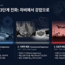 도래 이미지
