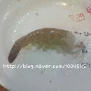 소주향기는바람에날리고 이미지