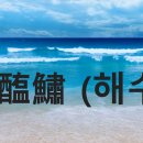醢鱐 (해수) 이미지