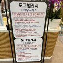 도그빌리지 이미지