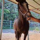 녹원목장 이미지