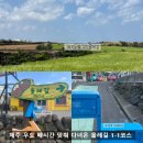 참아름다운머리 | 제주 우도 배시간 맞춰 다녀온 올레길 1-1코스 여행 후기