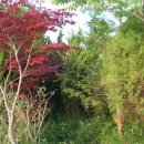 풀천지농장 이미지