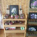 수국펜션 이미지