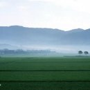 서편 Daum카페