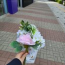 [동탄] 셀프사진관 추천 '빛진 사진관'