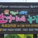 원금당 이미지