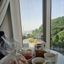 찬스아이 수영장 | 비스타 워커힐 호캉스 후기 - 명월관 가든 BBQ·수영장·스카이야드 솔직 후기
