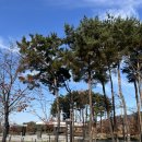 청계산수변공원 | 청계산입구역 누뗀, 뜨개질 관심 있는 분들 추천, 청계산 카페&amp;디저트&amp;뜨개질, 사랑스러운 공간 새롭고...