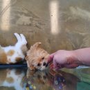 몽쁘띠끄 네이버블로그