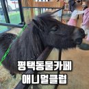 아기랑 함께 즐기는 생생 체험, 평택동물카페 방문 후기