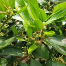 우영농원 이미지