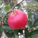 옛터농장 이미지