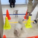 눈보뛰 프리미엄 이미지