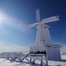 매봉산 식당 이미지