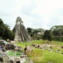 (주)마야투어