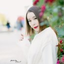 신채은 카카오 검색결과