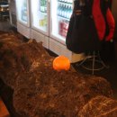 한라맥주상인점 이미지