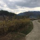 전원회관 이미지